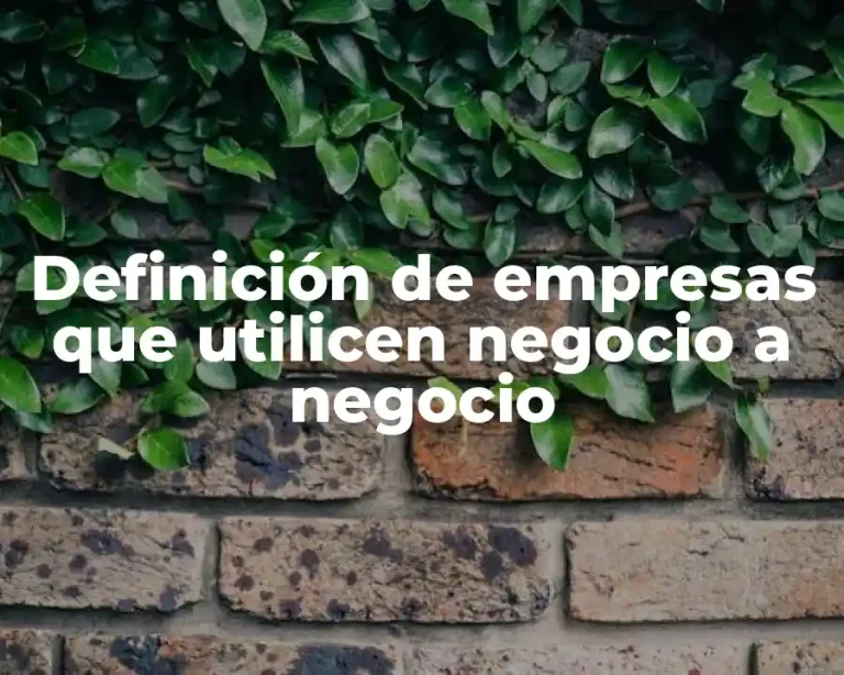 Definición de empresas que utilicen negocio a negocio