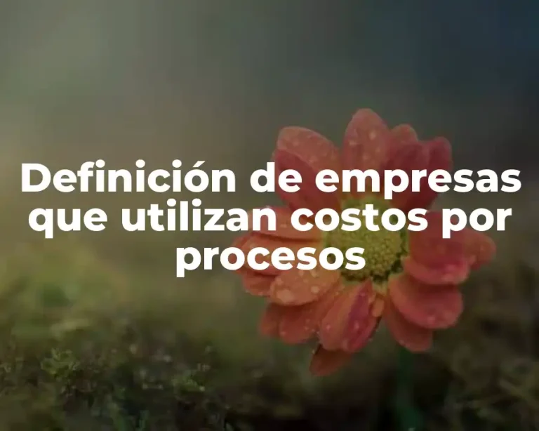 Definición de empresas que utilizan costos por procesos