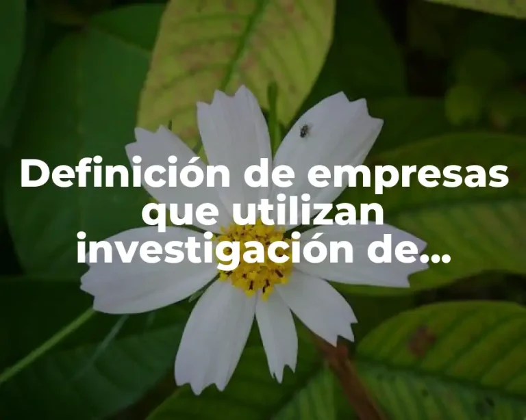 Definición de empresas que utilizan investigación de operaciones