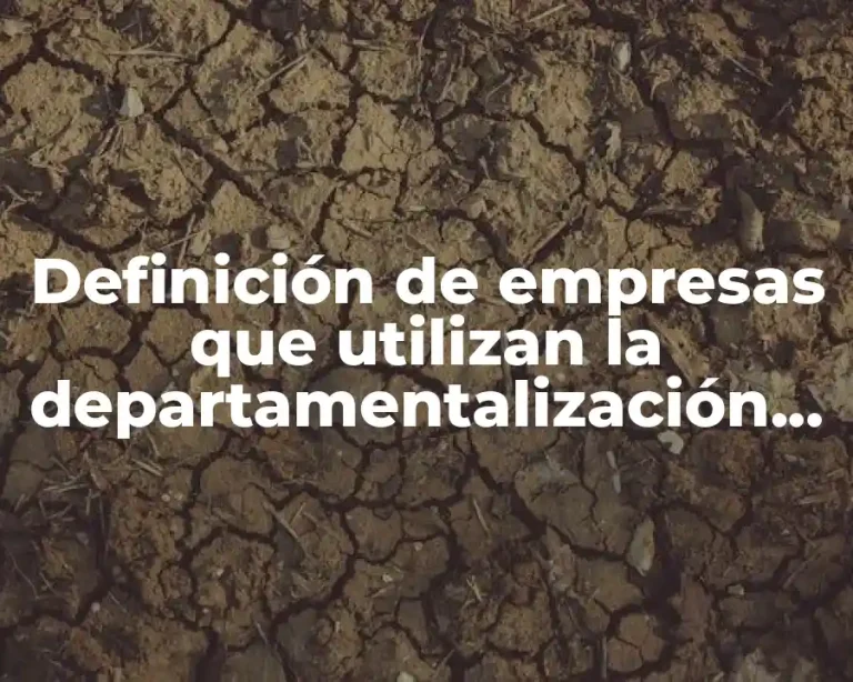 Definición de empresas que utilizan la departamentalización geográfica