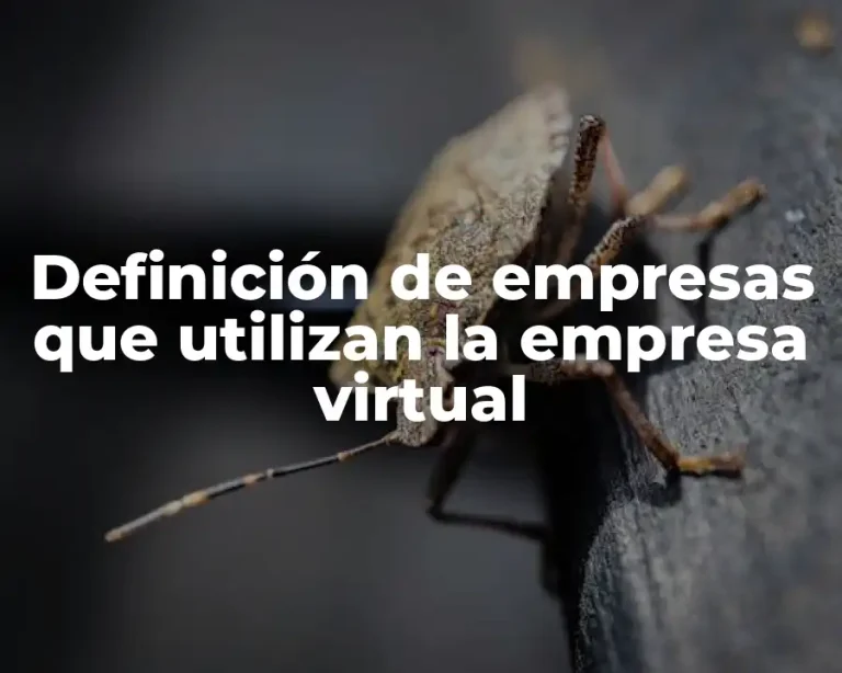 Definición de empresas que utilizan la empresa virtual