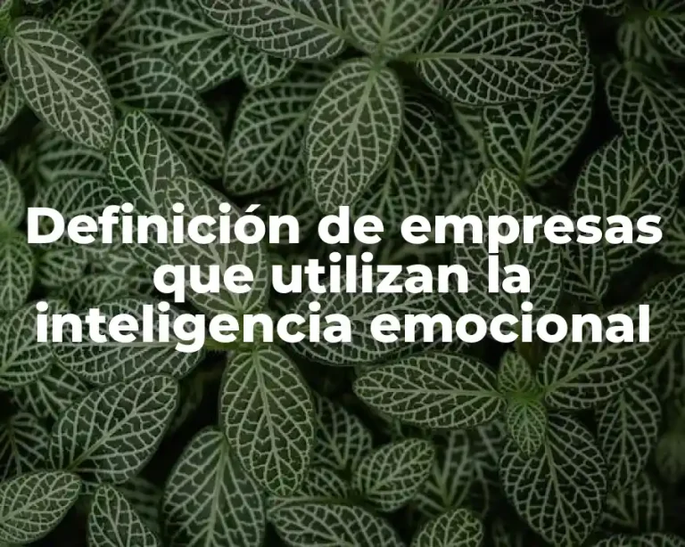 Definición de empresas que utilizan la inteligencia emocional