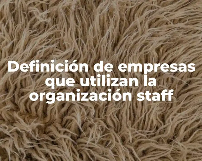 Definición de empresas que utilizan la organización staff