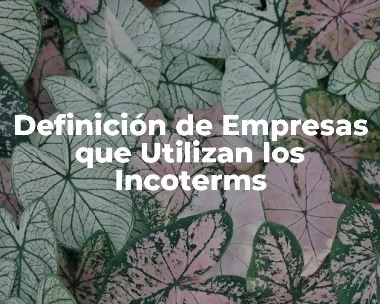 Definición de Empresas que Utilizan los Incoterms