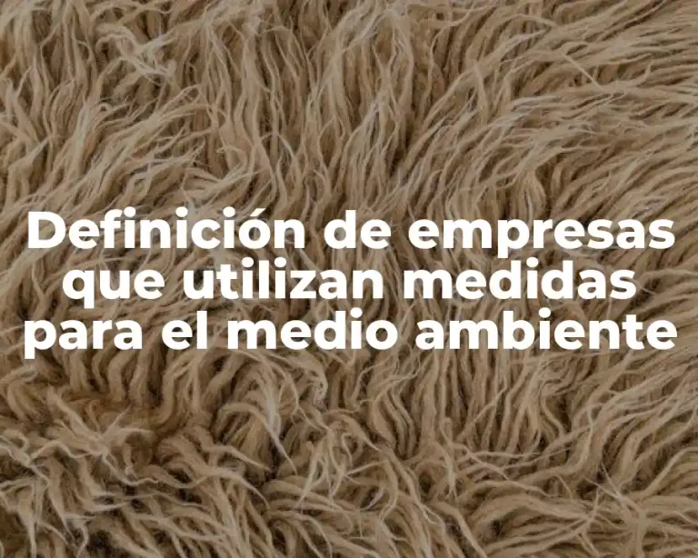 Definición de empresas que utilizan medidas para el medio ambiente