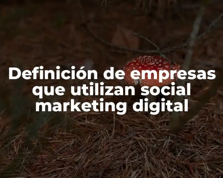 Definición de empresas que utilizan social marketing digital