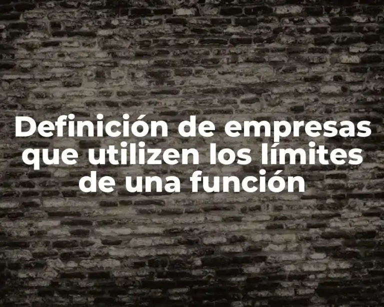 Definición de empresas que utilizen los límites de una función