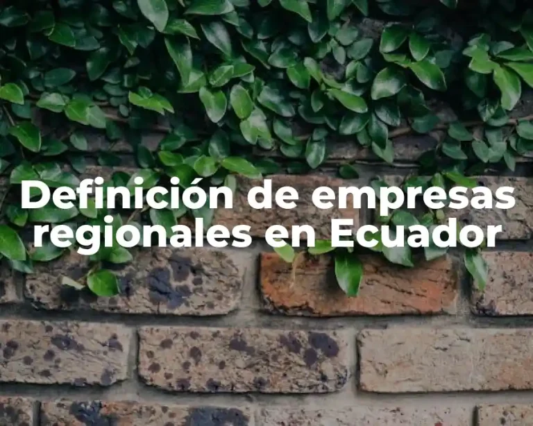 Definición de empresas regionales en Ecuador