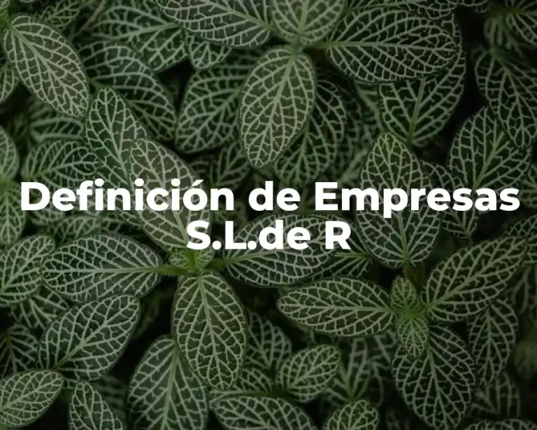 Definición de Empresas S.L.de R