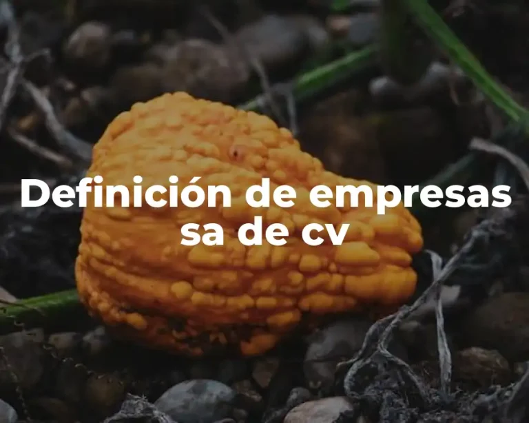 Definición de empresas sa de cv