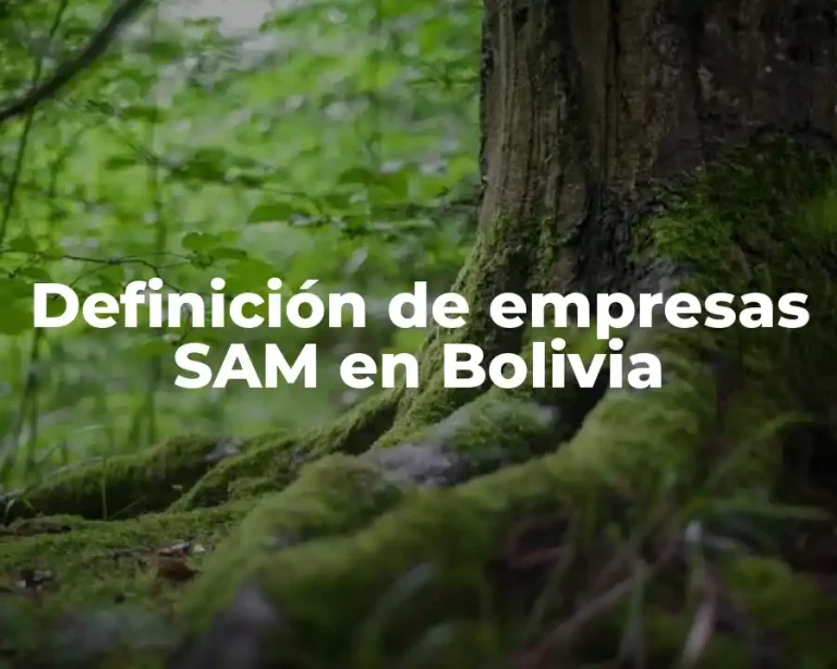 Definición de empresas SAM en Bolivia