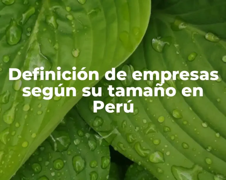Definición de empresas según su tamaño en Perú