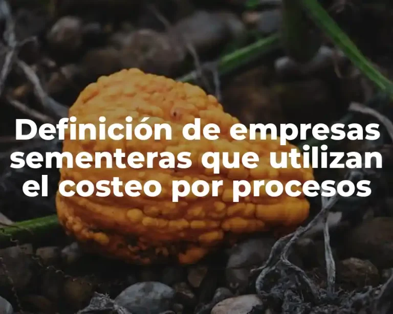 Definición de empresas sementeras que utilizan el costeo por procesos