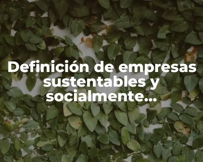 Definición de empresas sustentables y socialmente responsables