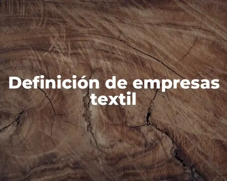Definición de empresas textil