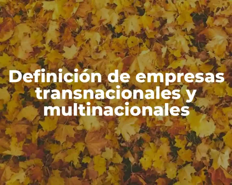 Definición de empresas transnacionales y multinacionales
