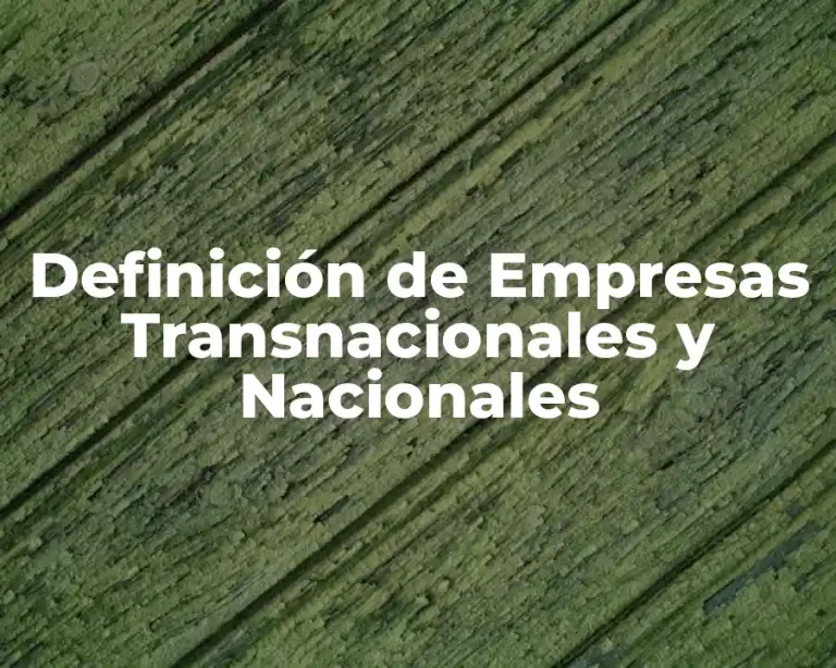 Definición de Empresas Transnacionales y Nacionales