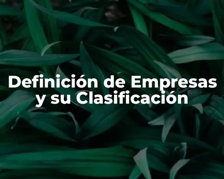 Definición de Empresas y su Clasificación
