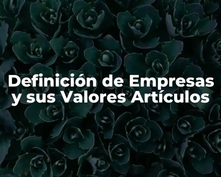 Definición de Empresas y sus Valores Artículos
