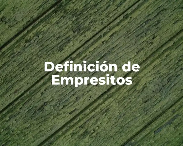 Definición de Empresitos