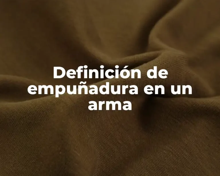 Definición de empuñadura en un arma
