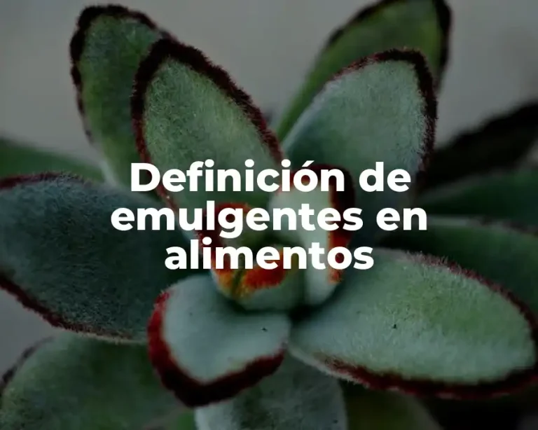 Definición de emulgentes en alimentos