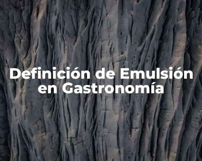 Definición de Emulsión en Gastronomía