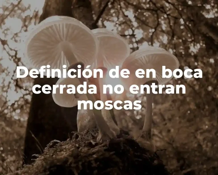 Definición de en boca cerrada no entran moscas