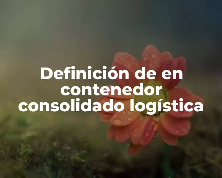 Definición de en contenedor consolidado logística
