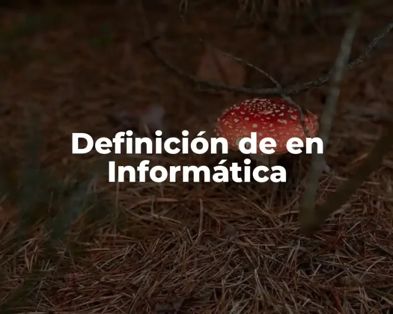 Definición de en Informática