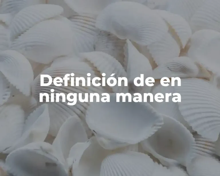 Definición de en ninguna manera