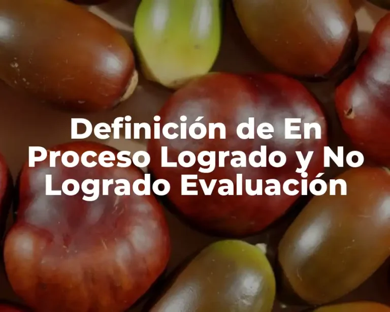 Definición de En Proceso Logrado y No Logrado Evaluación