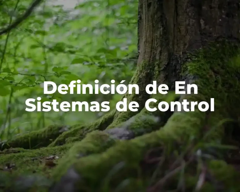 Definición de En Sistemas de Control