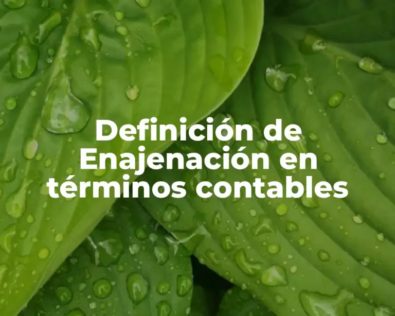 Definición de Enajenación en términos contables