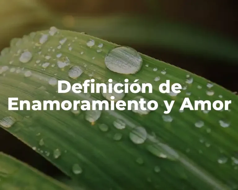 Definición de Enamoramiento y Amor