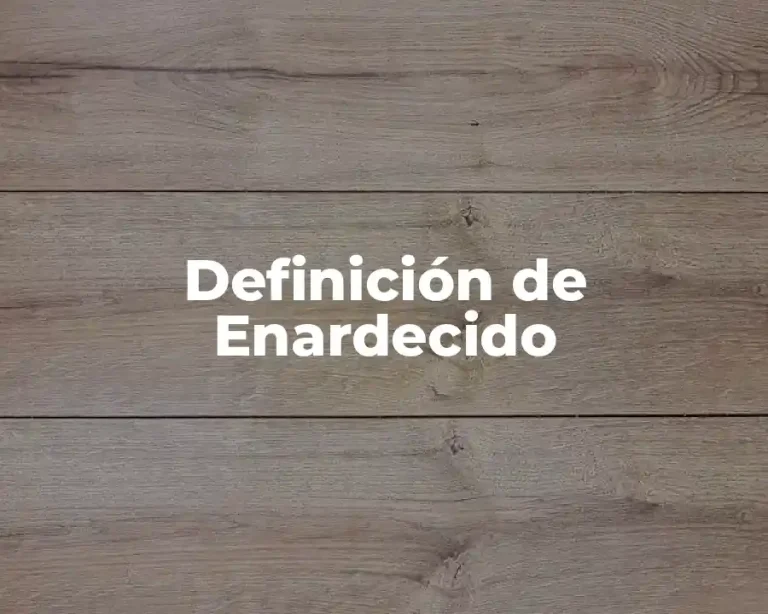 Definición de Enardecido