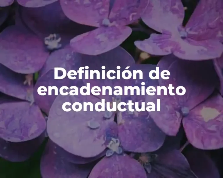 Definición de encadenamiento conductual