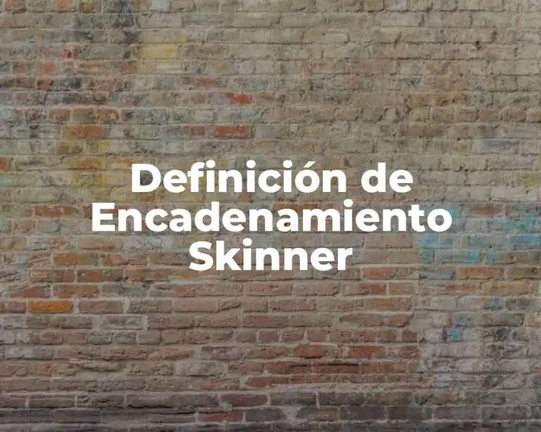 Definición de Encadenamiento Skinner