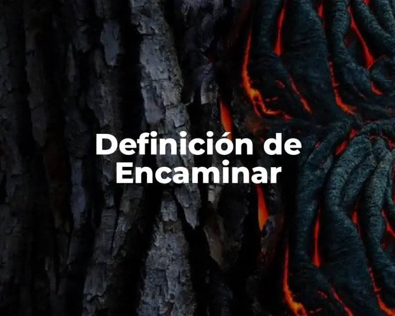 Definición de Encaminar