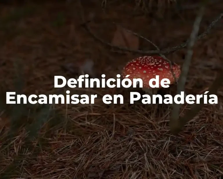 Definición de Encamisar en Panadería