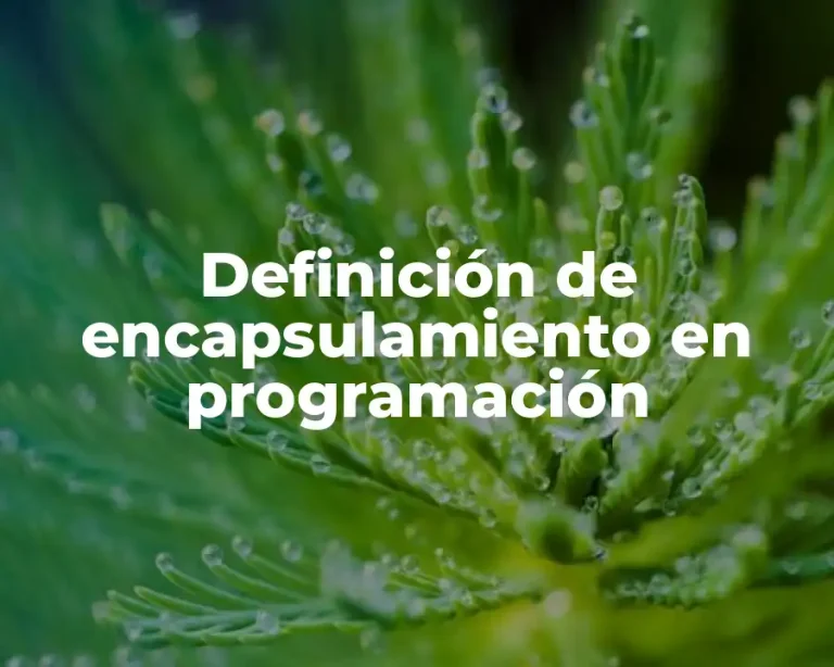 Definición de encapsulamiento en programación
