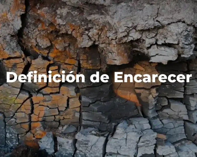 Definición de Encarecer