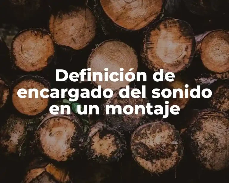 Definición de encargado del sonido en un montaje