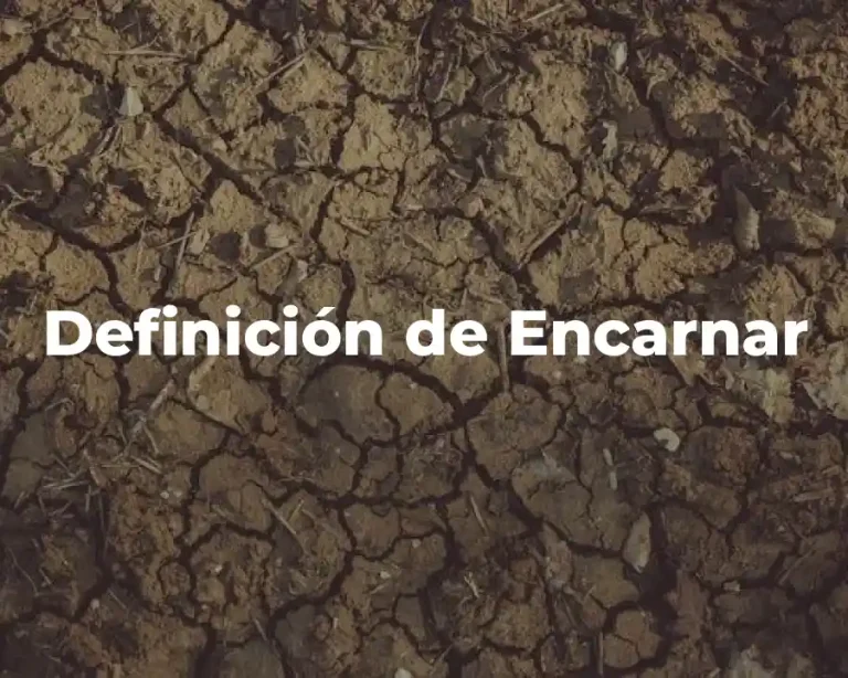 Definición de Encarnar