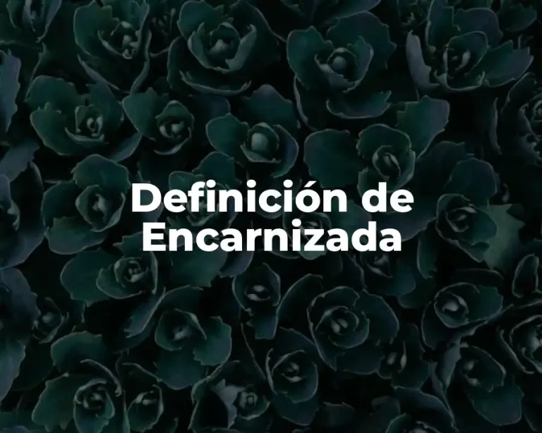 Definición de Encarnizada