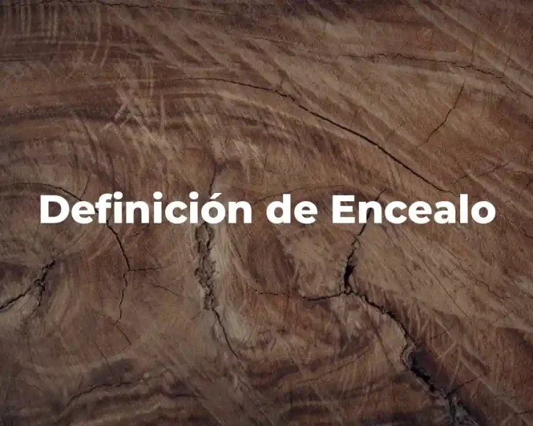 Definición de Encealo