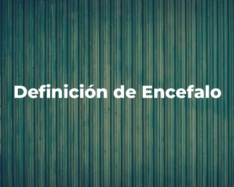 Definición de Encefalo