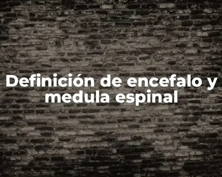 Definición de encefalo y medula espinal