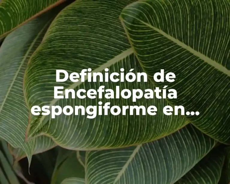 Definición de Encefalopatía espongiforme en bovinos