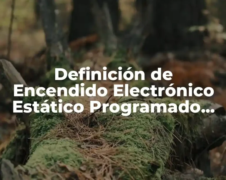 Definición de Encendido Electrónico Estático Programado Automotriz